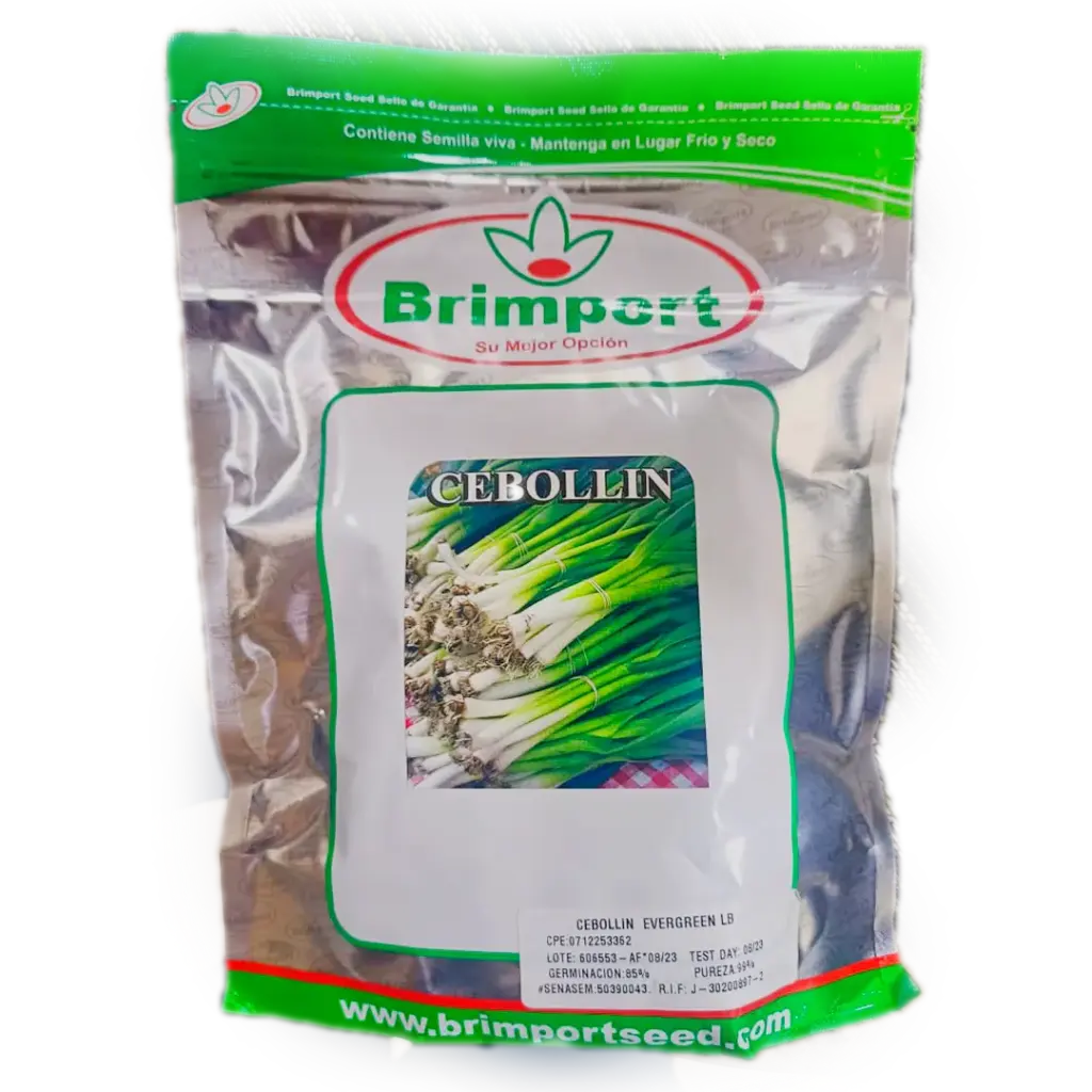 SEMILLA CEBOLLIN EVERGREEN 1 LB BRIMPORT