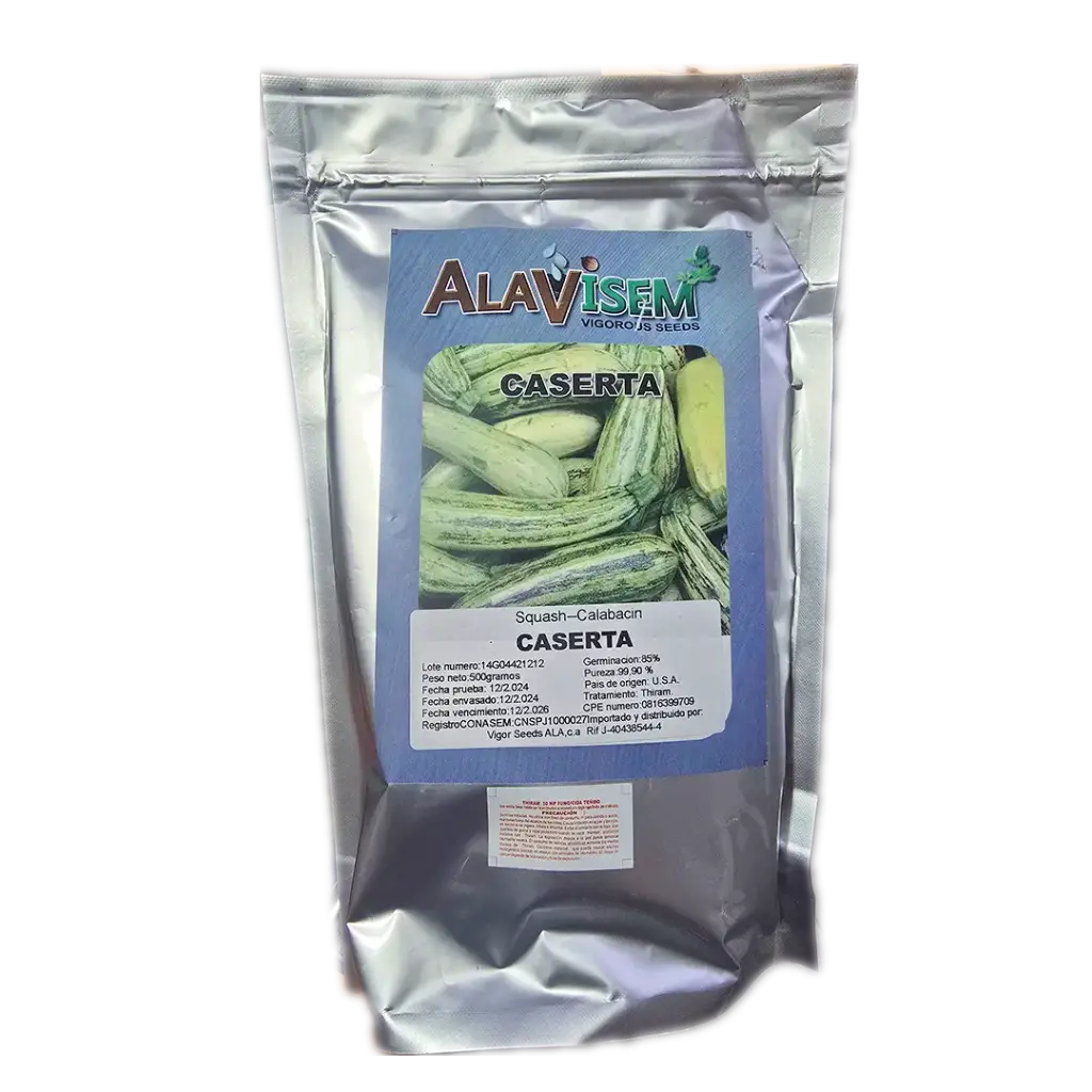 Calabacin caserta 500gr ALAVISEM