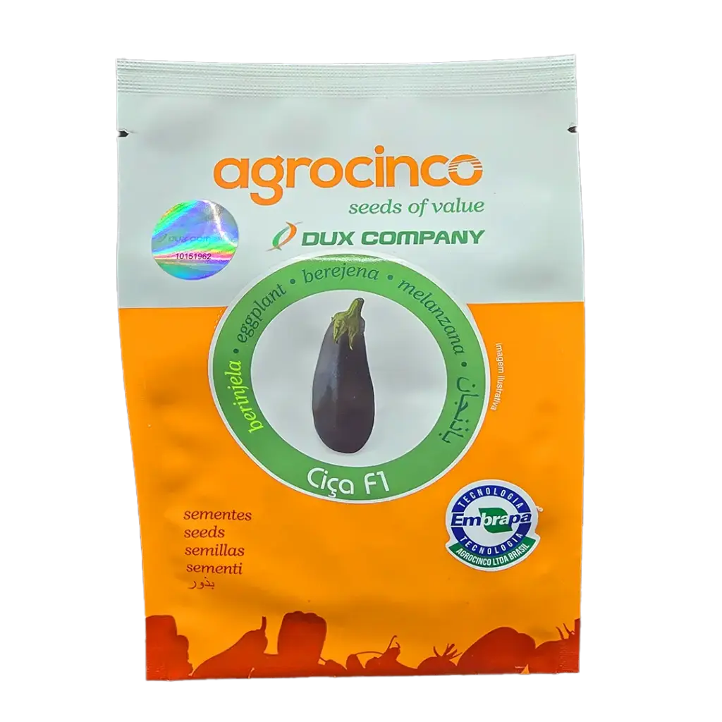 BERENJENA CICA F1 1000 SEMILLAS