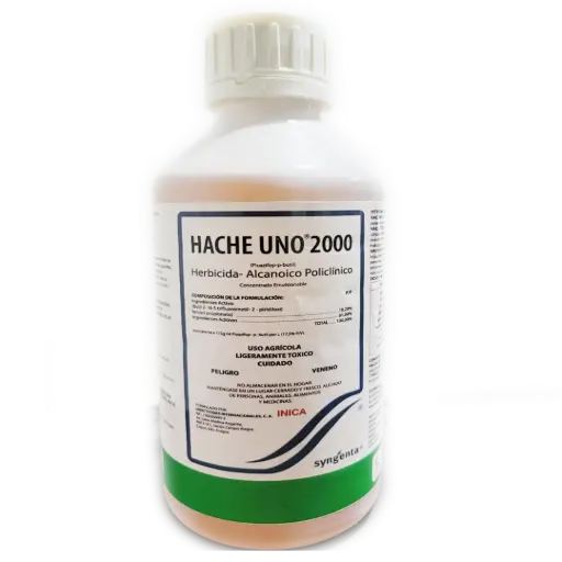 H1 2000 1 LITRO