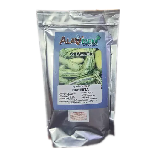 Calabacin caserta 500gr ALAVISEM