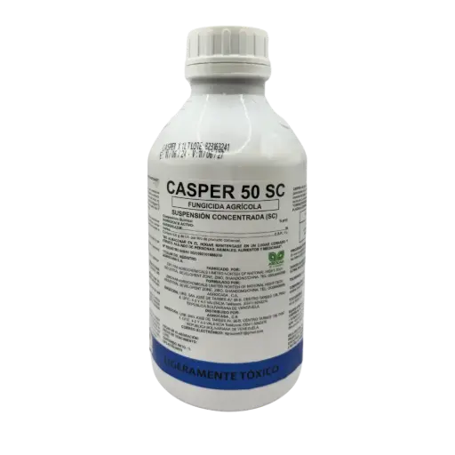 CASPER 1 LTR